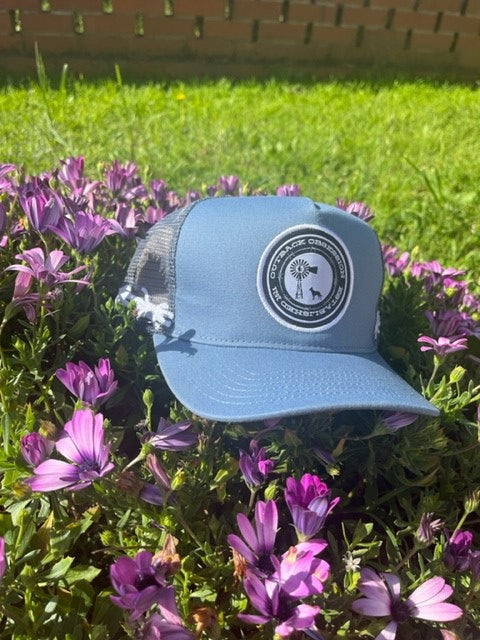 Blue Trucker cap